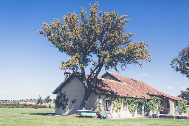 Finca Aldeallana, Segovia
